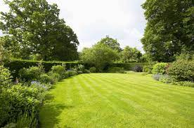 Eco-Friendly Lawn Care: Tips for a Greener Yard