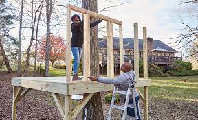 Building a Treehouse for Your Kids
