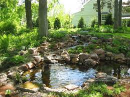 Outdoor Garden Pond Ideas: Tranquil Oasis
