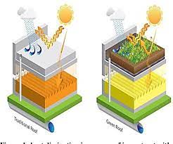 The Impact of Green Roofs on Energy Efficiency