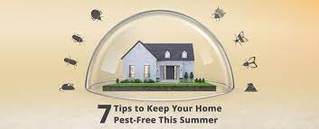 Keeping Your Home Pest-Free Year-Round
